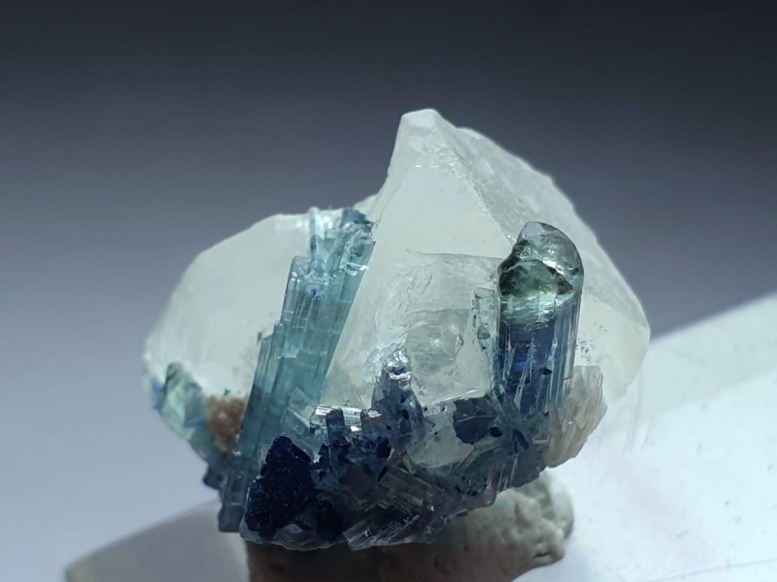 Indicolite Blue Tourmaline Crystal on Quartz Specimen, Afghanistan