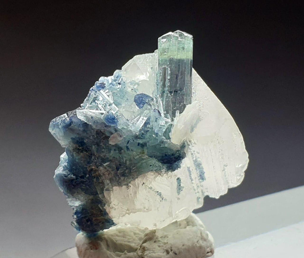 Indicolite Blue Tourmaline Crystal on Quartz Specimen, Afghanistan