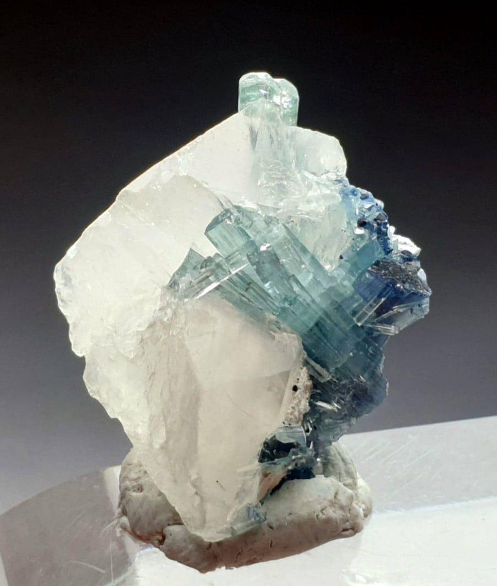 Indicolite Blue Tourmaline Crystal on Quartz Specimen, Afghanistan