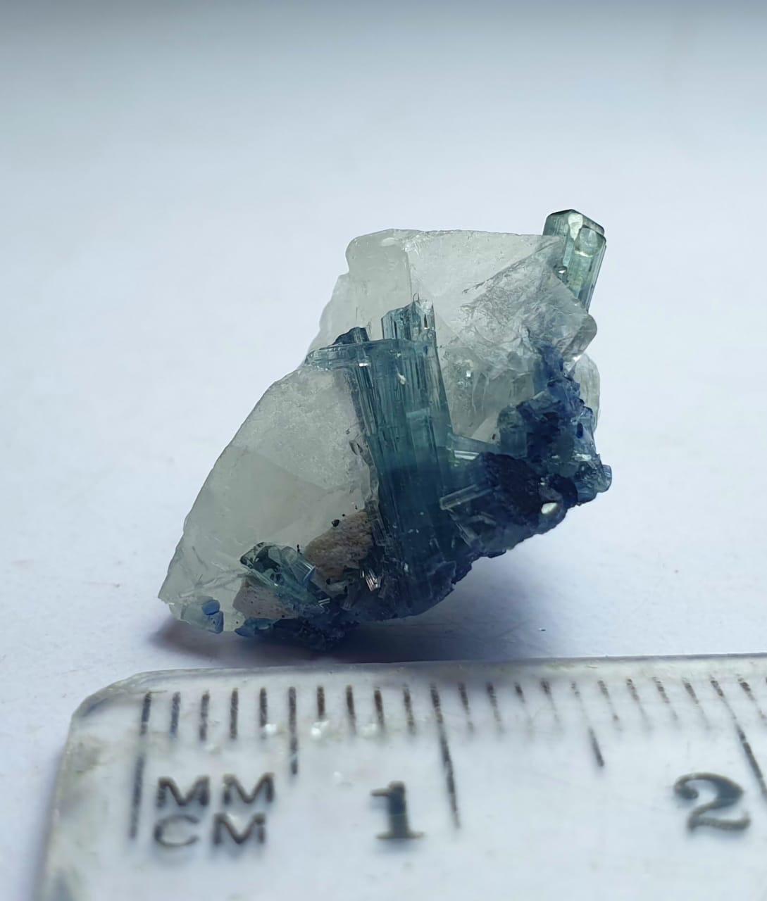 Indicolite Blue Tourmaline Crystal on Quartz Specimen, Afghanistan