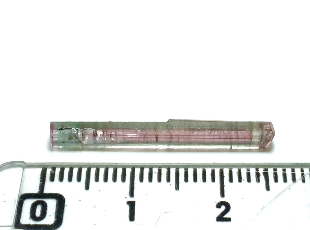 Watermelon Tourmaline Crystal