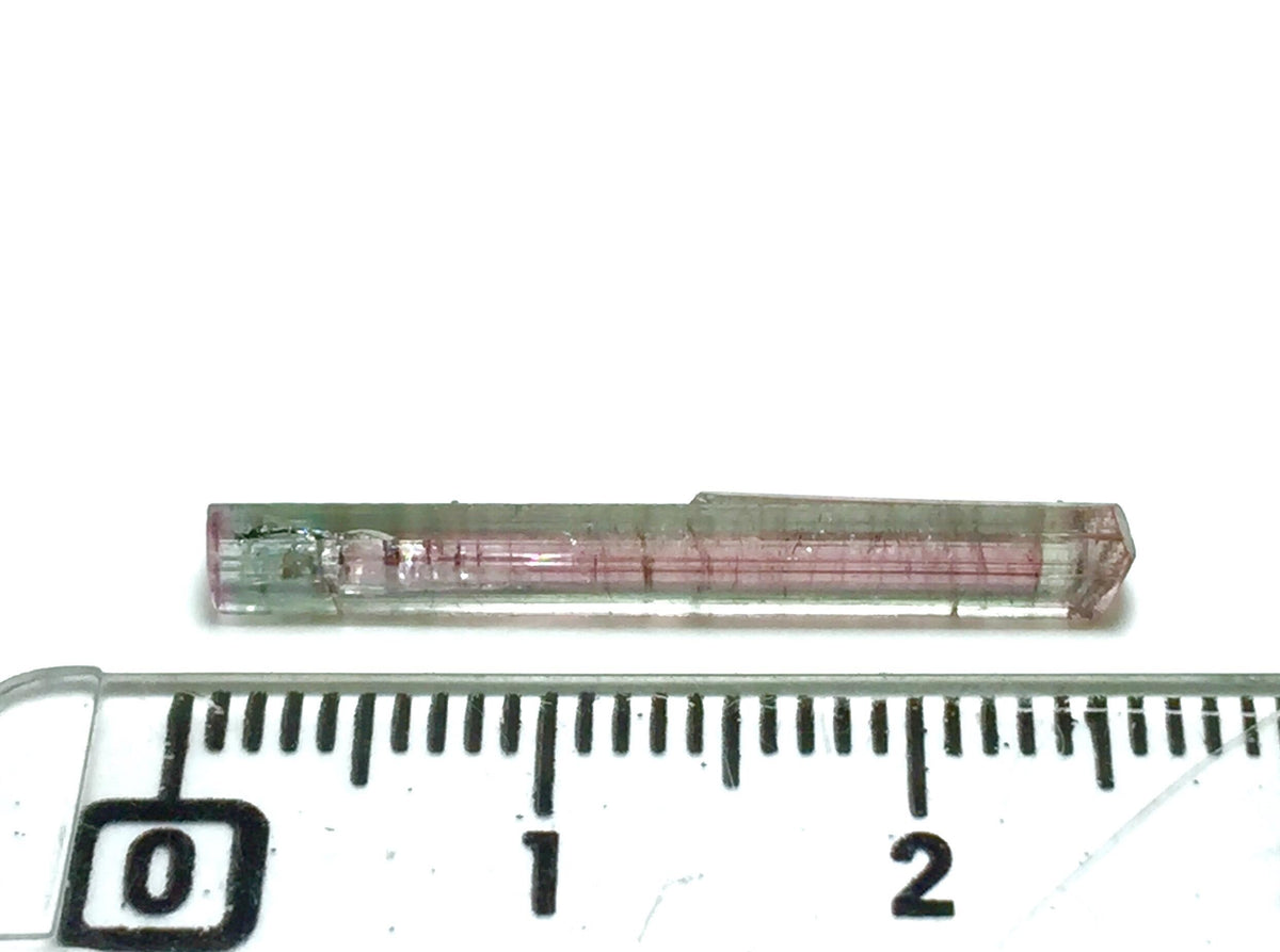 Watermelon Tourmaline Crystal