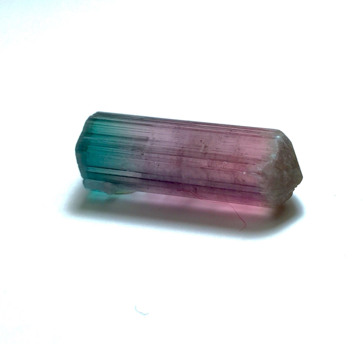 Bi Color Terminated Tourmaline Crystal
