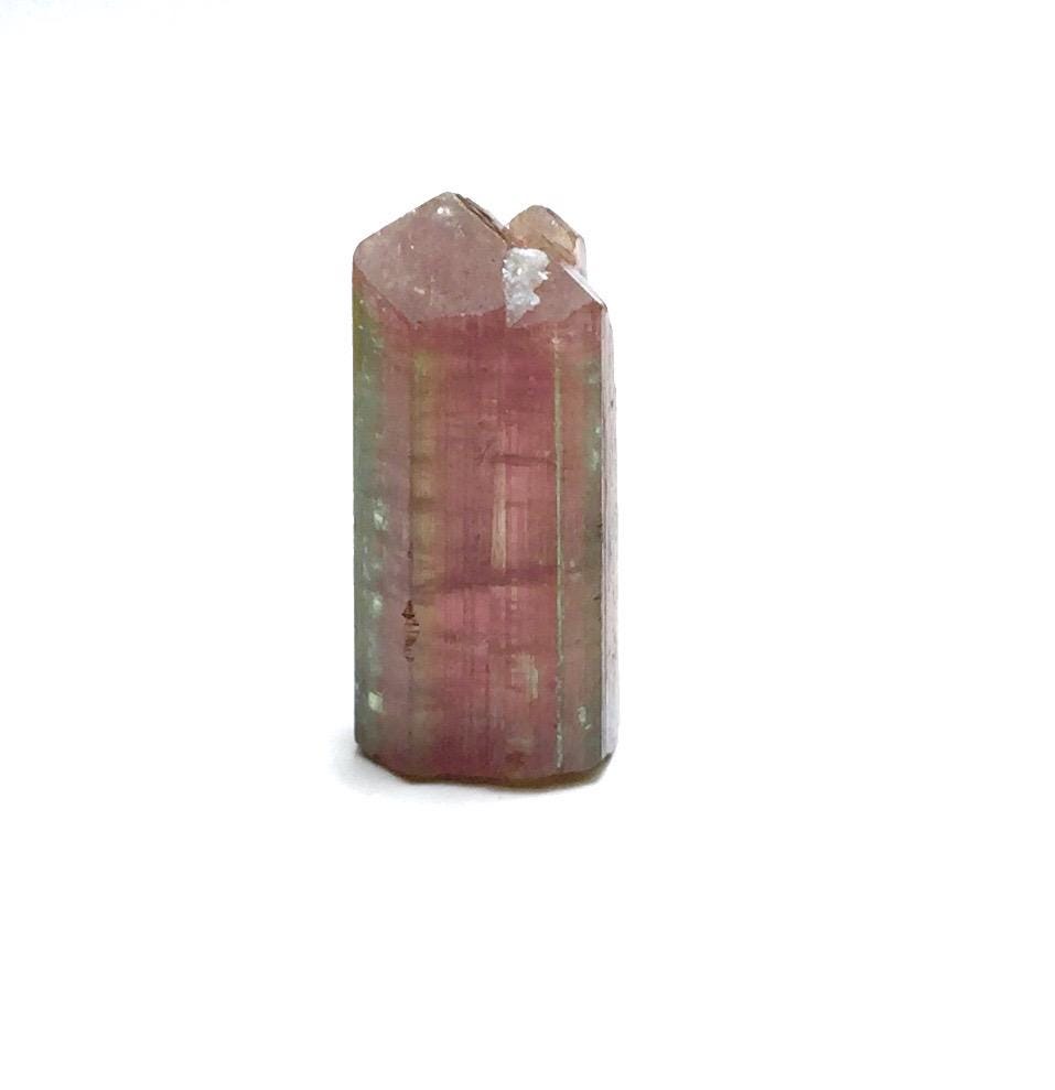 Watermelon Tourmaline Crystal