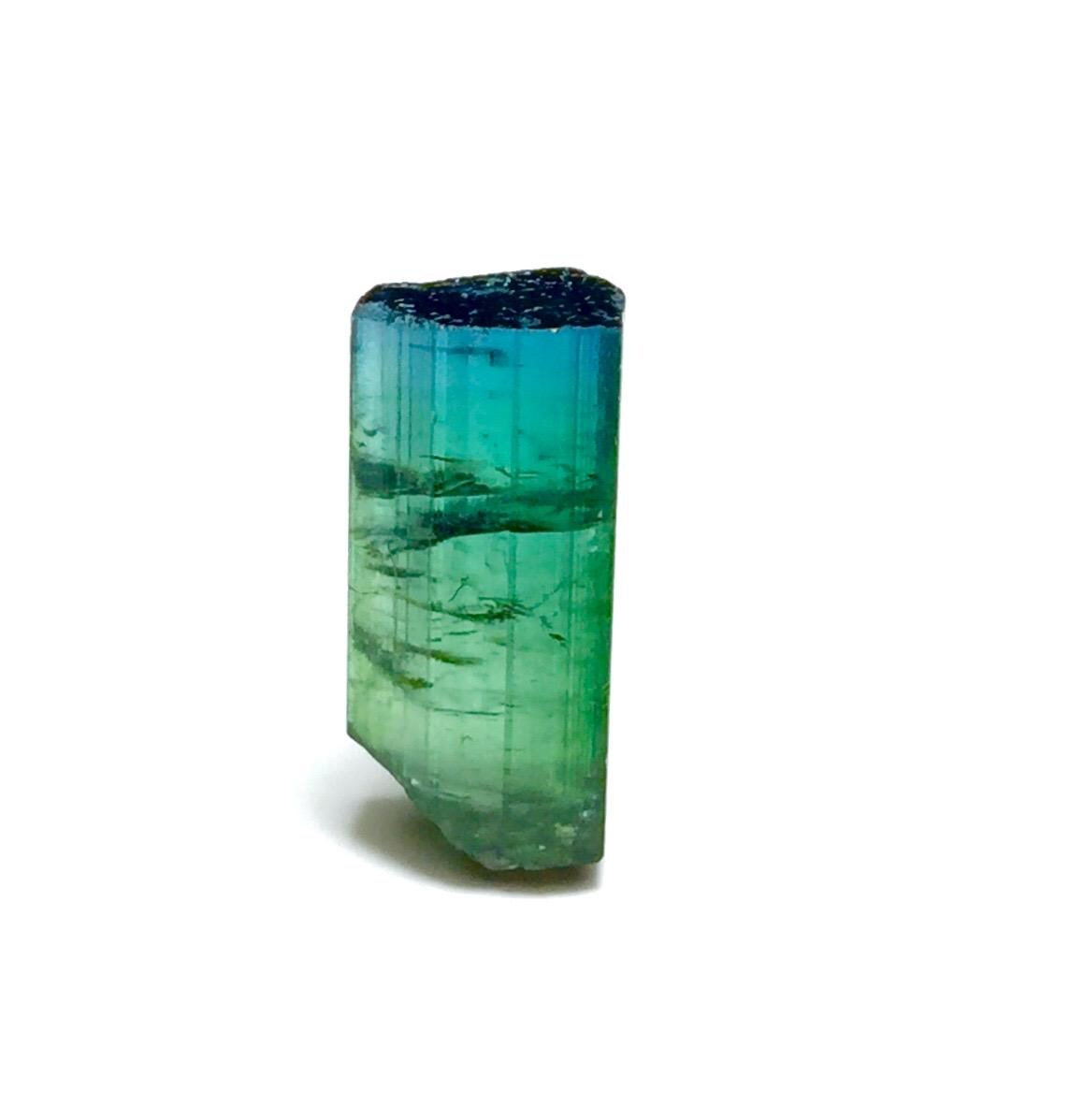 Bi Color Terminated Tourmaline Crystal
