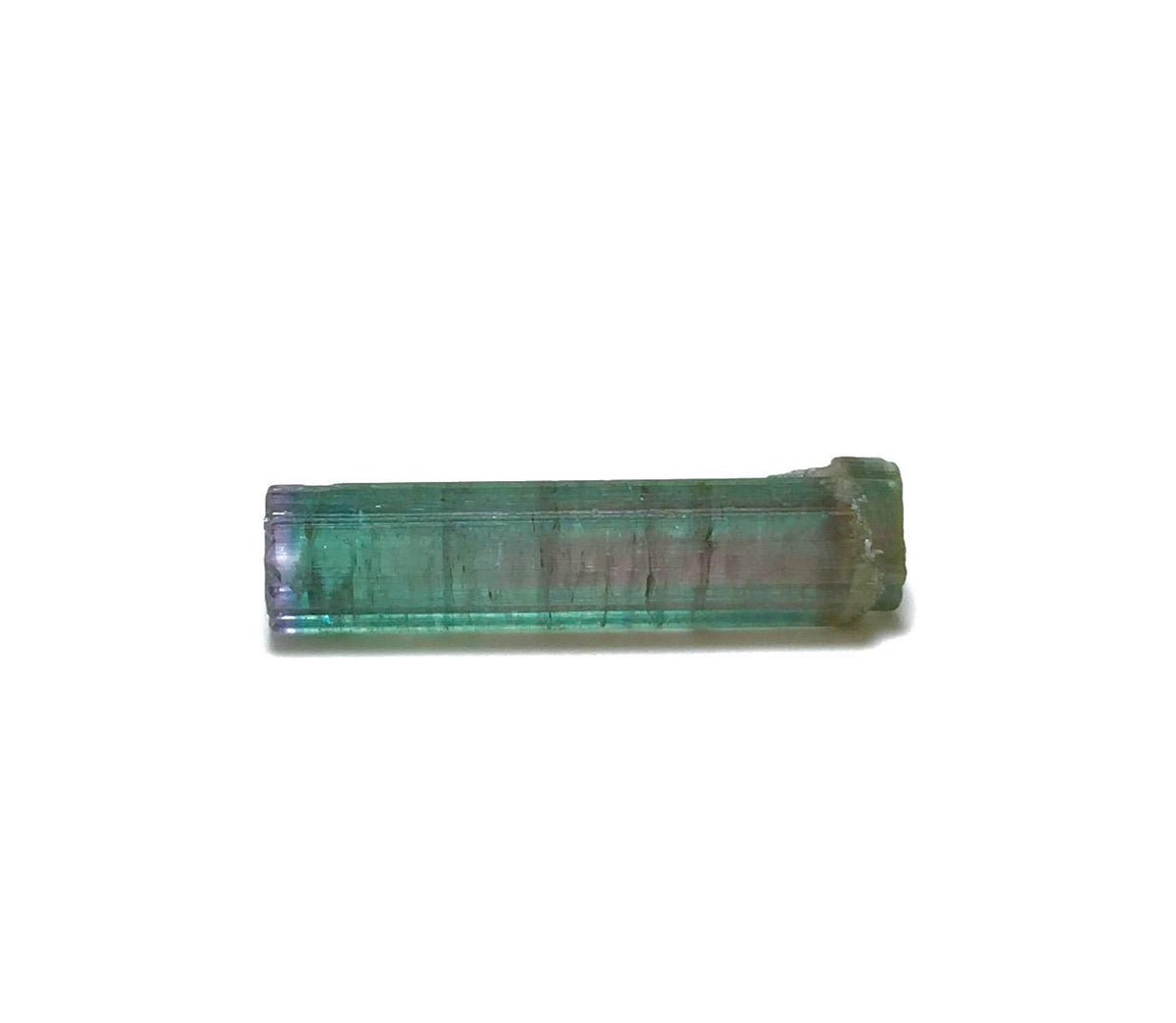 Bi Color Terminated Tourmaline Crystal