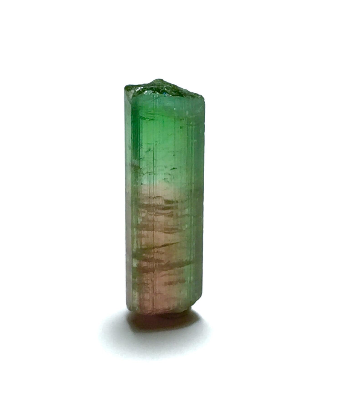Natural Bi-Color Watermelon Tourmaline, 9.0 Carat, Afghanistan
