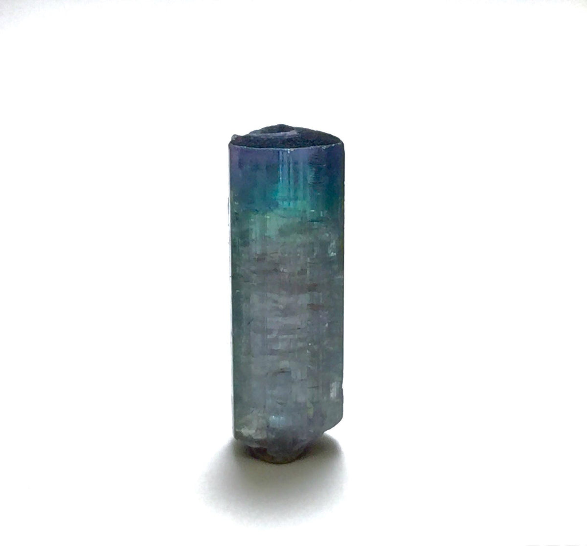 Bicolor Indicolite Tourmaline Crystal Rough | Paprok Mine, Afghanistan