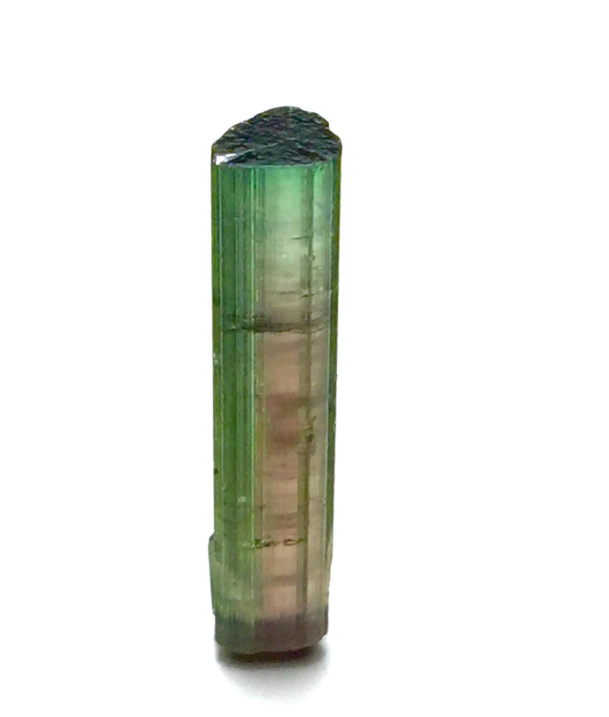 Watermelon Tourmaline Crystal Rough | Natural Bi-Color Pech Mine Afghanistan Gem