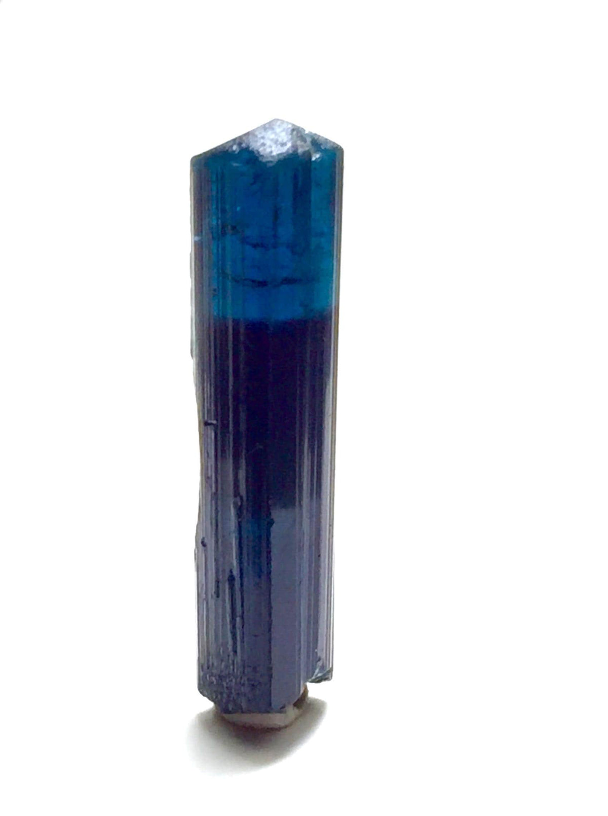 Rare 19ct Bi-Color Blue Tourmaline Crystal from Pech Mine, Afghanistan
