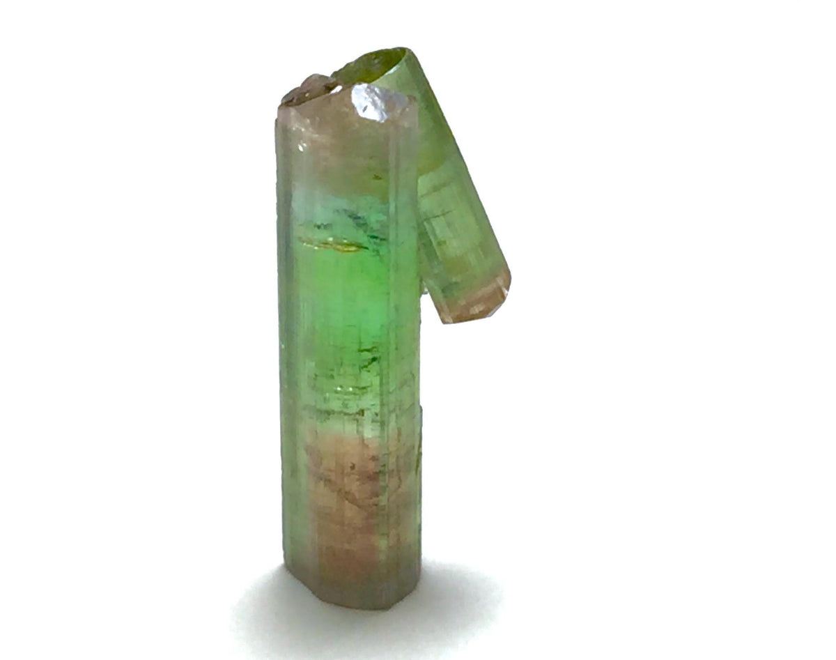 7.3 Carat Bi-Color Watermelon Tourmaline Crystal with Albite - Paprok Mine