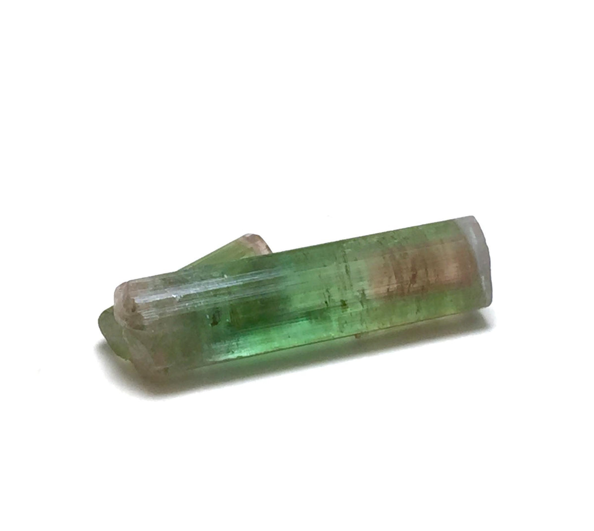 7.3 Carat Bi-Color Watermelon Tourmaline Crystal with Albite - Paprok Mine
