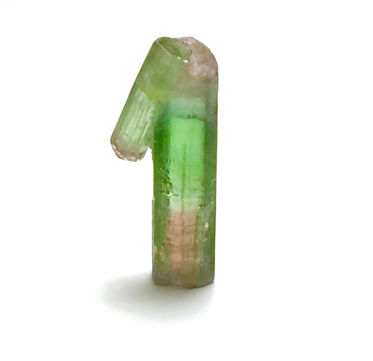 7.3 Carat Bi-Color Watermelon Tourmaline Crystal with Albite - Paprok Mine