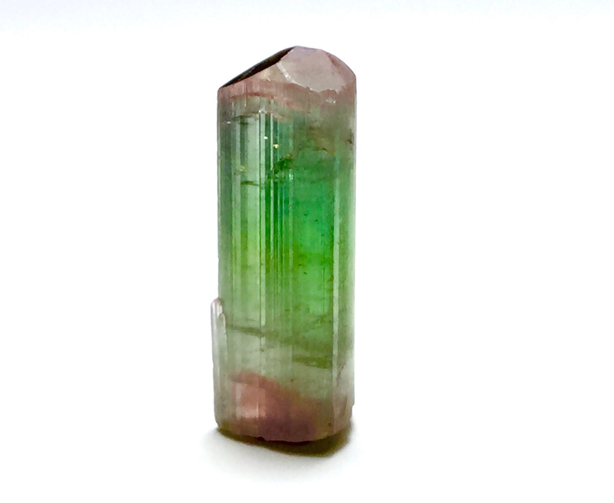 Natural Tri-Color Tourmaline Crystal – Pech Mine, Afghanistan – Rare Pendant Size Multi-Color Gem