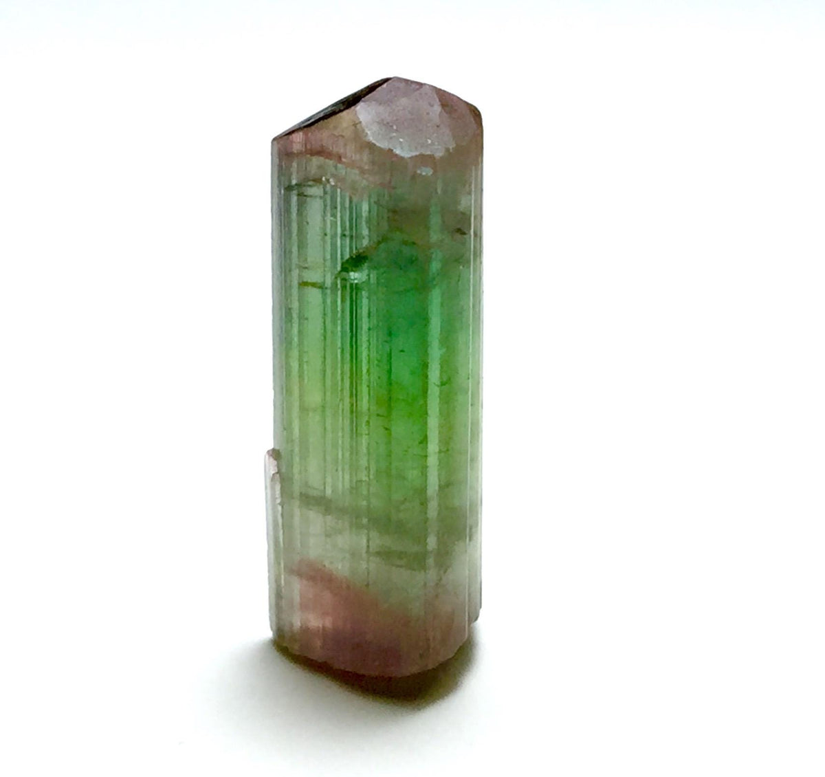 Natural Tri-Color Tourmaline Crystal – Pech Mine, Afghanistan – Rare Pendant Size Multi-Color Gem