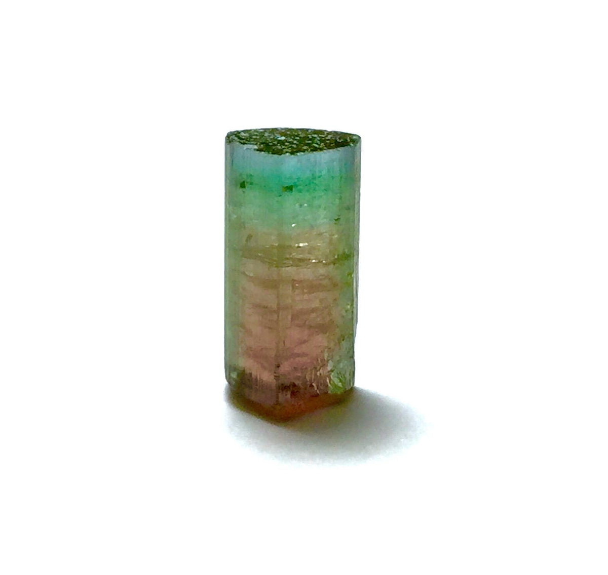 Watermelon Tourmaline Crystal – Peche Mine Afghanistan, Bicolor Pendant Size Specimen