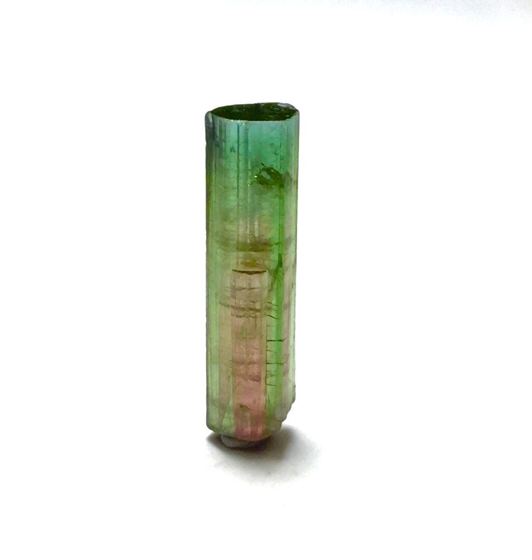 Watermelon Tourmaline Crystal – Pendant Size Bi-Color Peche Mine Afghanistan Specimen