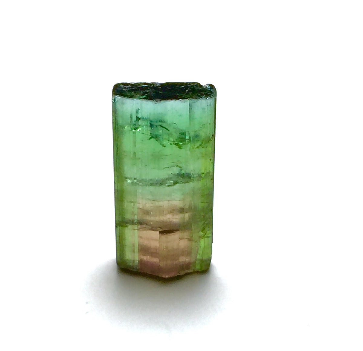 12.6 Carat Watermelon Tourmaline Crystal – Bi-Color Afghan Collector Gem