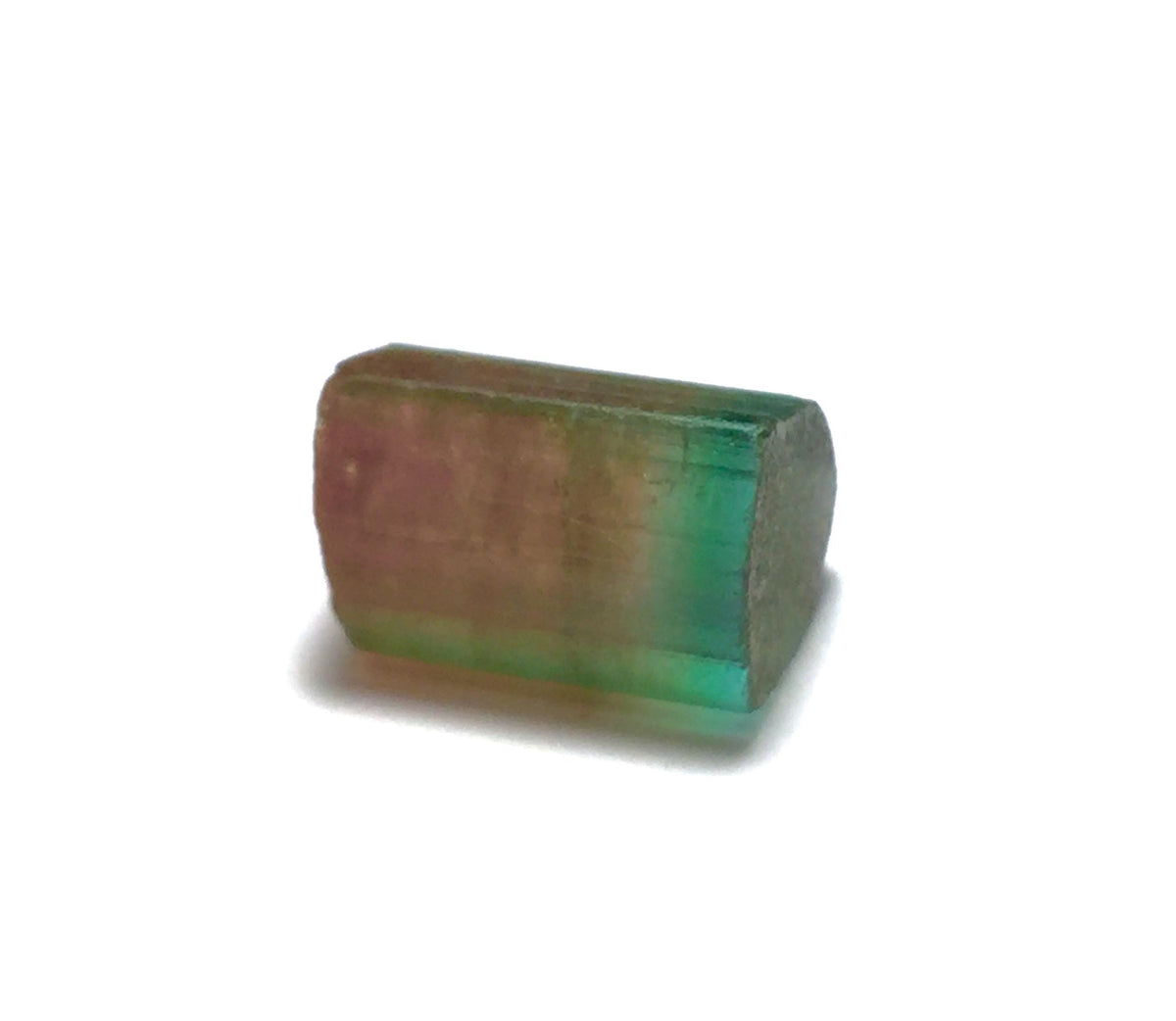 16.6 Carat Watermelon Tourmaline Crystal – Bi-Color Raw Specimen from Pech Mine, Afghanistan