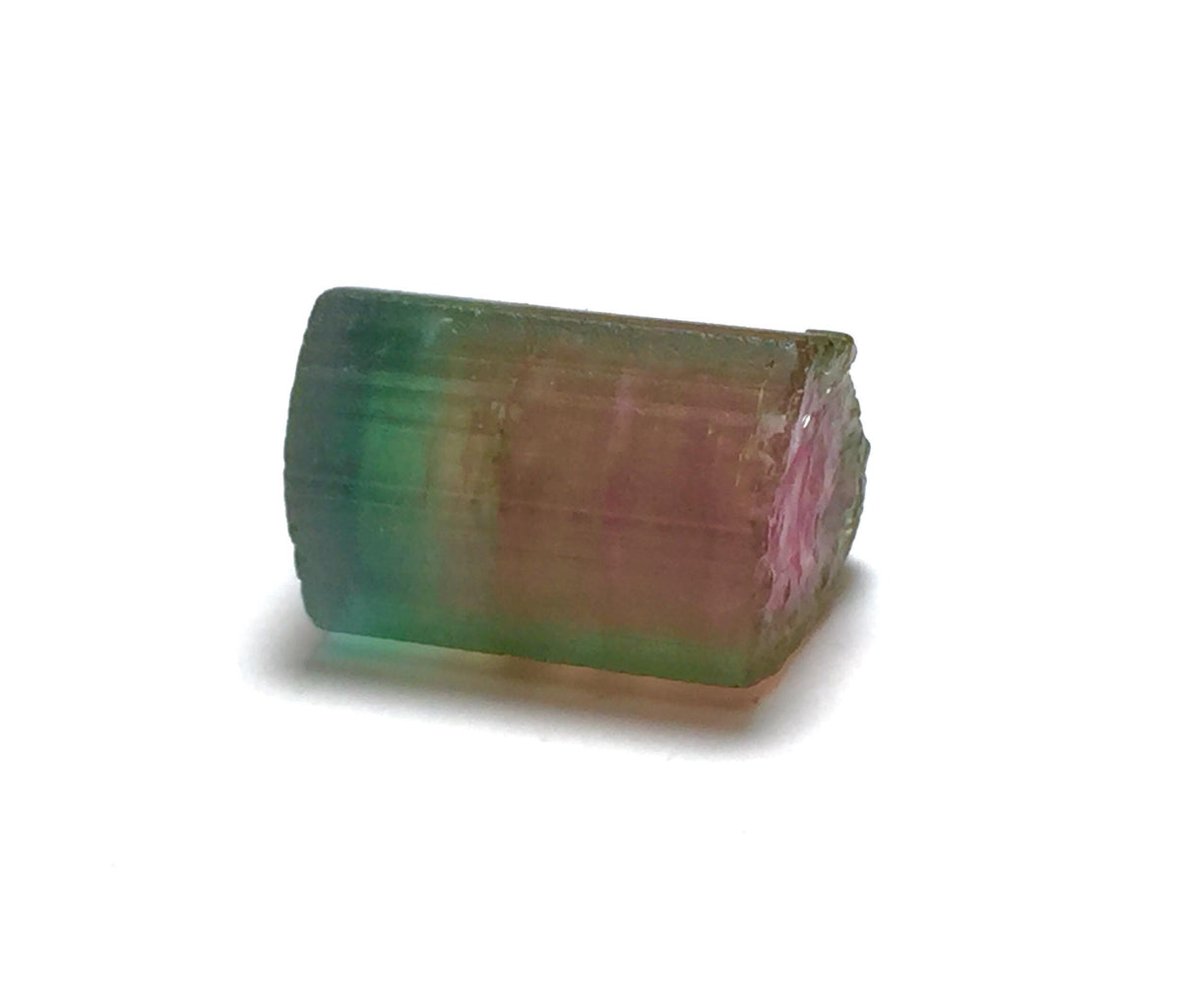 16.6 Carat Watermelon Tourmaline Crystal – Bi-Color Raw Specimen from Pech Mine, Afghanistan