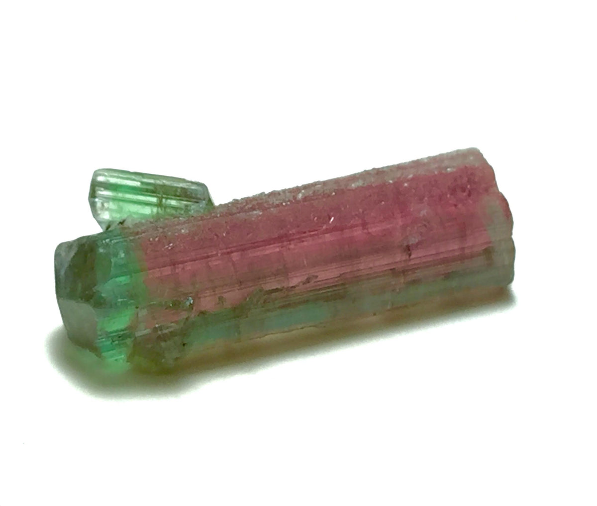 Watermelon Tourmaline on Albite Matrix – Peche Mine Afghanistan Specimen