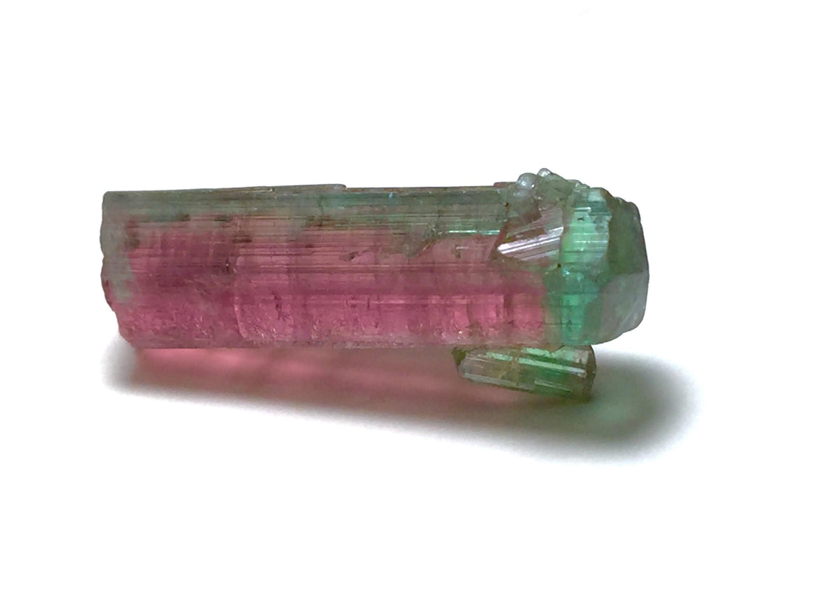 Watermelon Tourmaline on Albite Matrix – Peche Mine Afghanistan Specimen