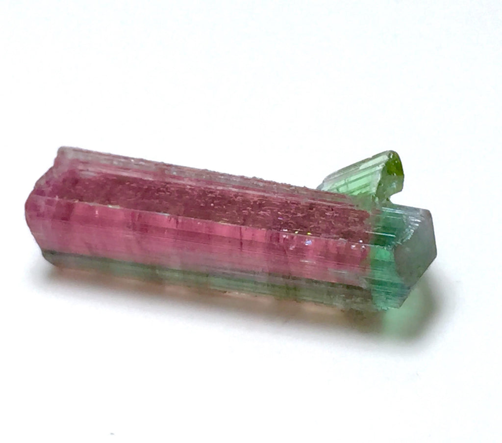 Watermelon Tourmaline on Albite Matrix – Peche Mine Afghanistan Specimen