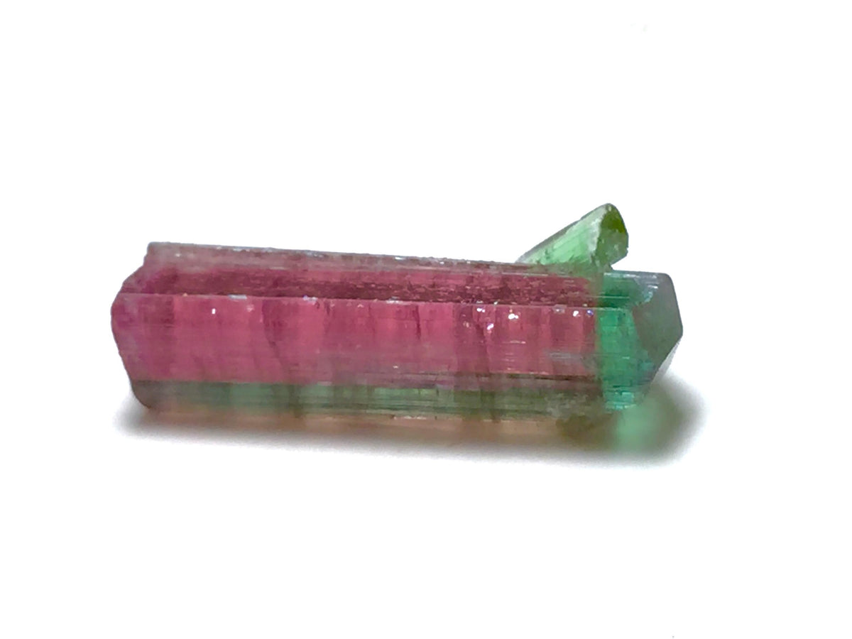 Watermelon Tourmaline on Albite Matrix – Peche Mine Afghanistan Specimen