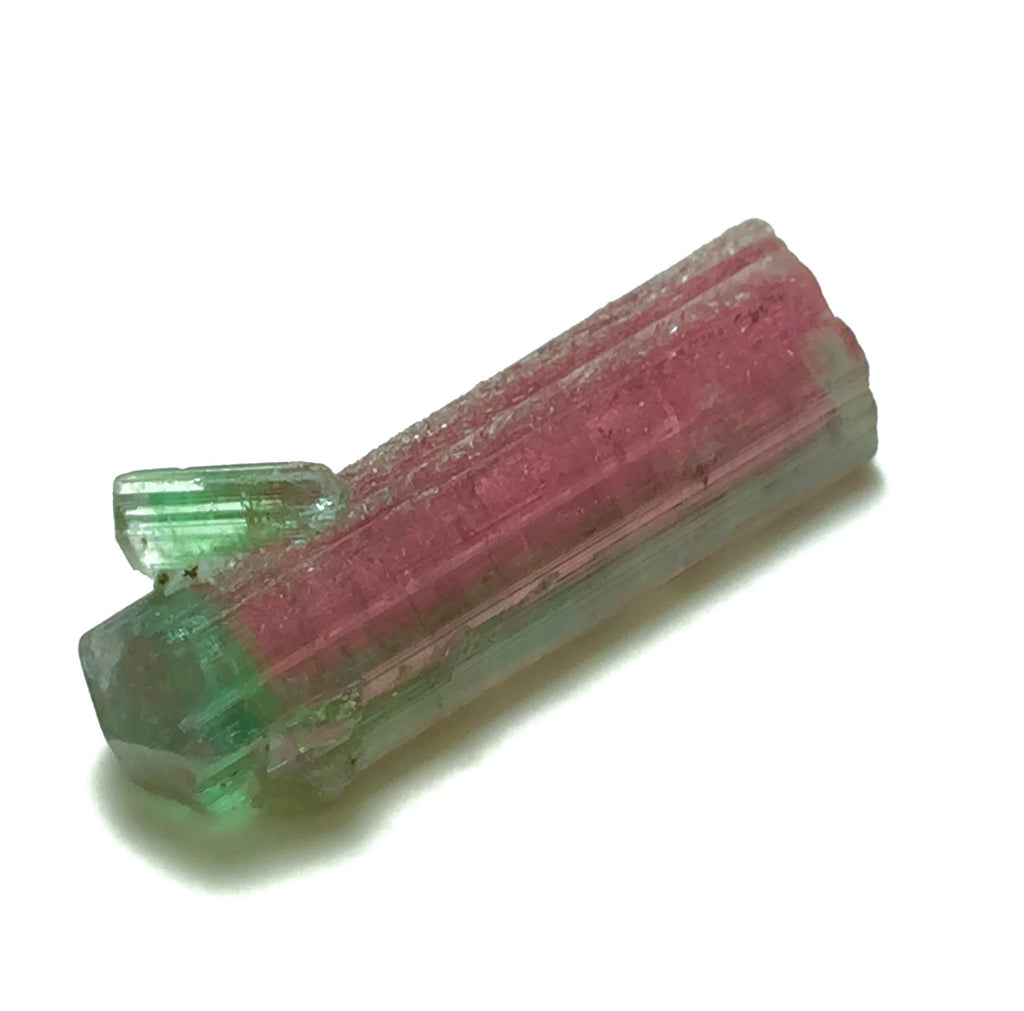 Watermelon Tourmaline on Albite Matrix – Peche Mine Afghanistan Specimen