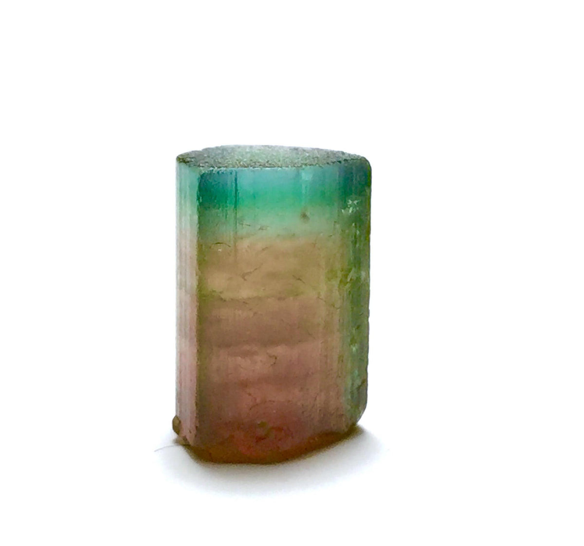 16.6 Carat Watermelon Tourmaline Crystal – Bi-Color Raw Specimen from Pech Mine, Afghanistan