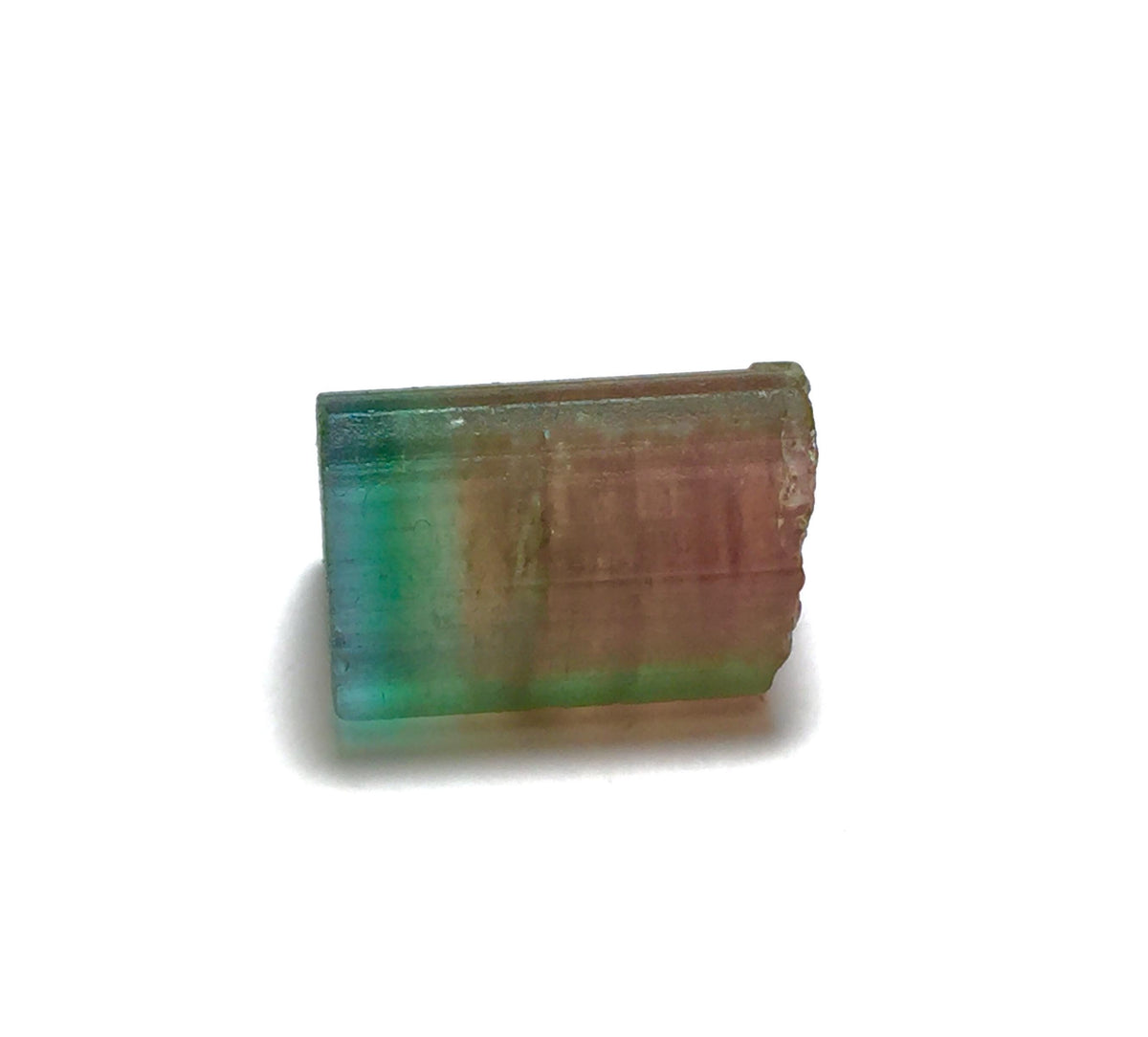 16.6 Carat Watermelon Tourmaline Crystal – Bi-Color Raw Specimen from Pech Mine, Afghanistan