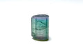 Natural Bi-Color Tourmaline Crystal - Paprok Mine, Afghanistan - Rare Gem Specimen