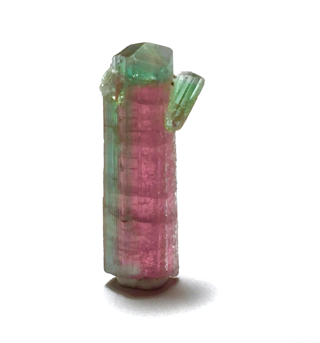 Watermelon Tourmaline on Albite Matrix – Peche Mine Afghanistan Specimen