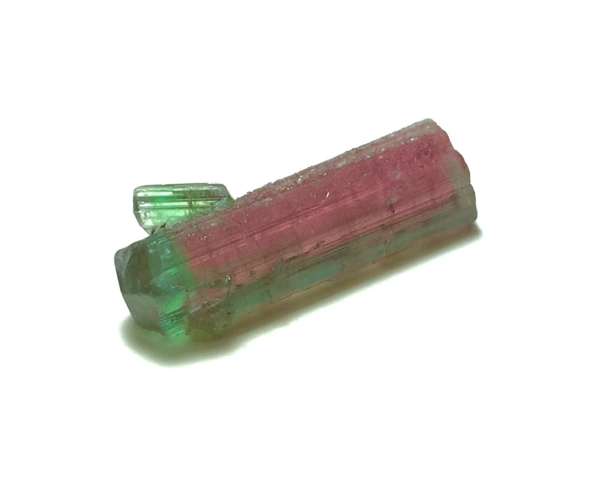 Watermelon Tourmaline on Albite Matrix – Peche Mine Afghanistan Specimen