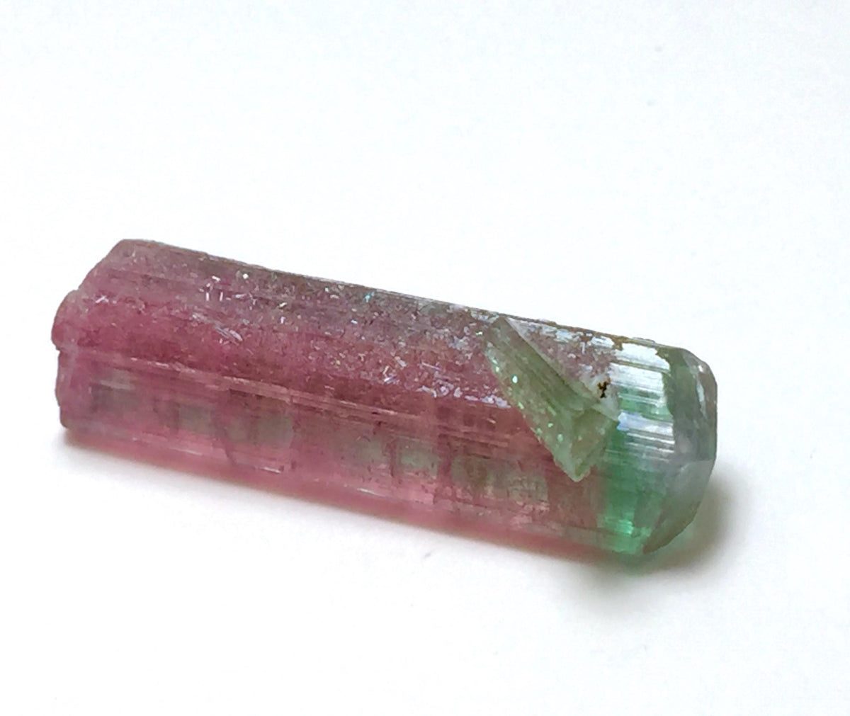 Watermelon Tourmaline on Albite Matrix – Peche Mine Afghanistan Specimen