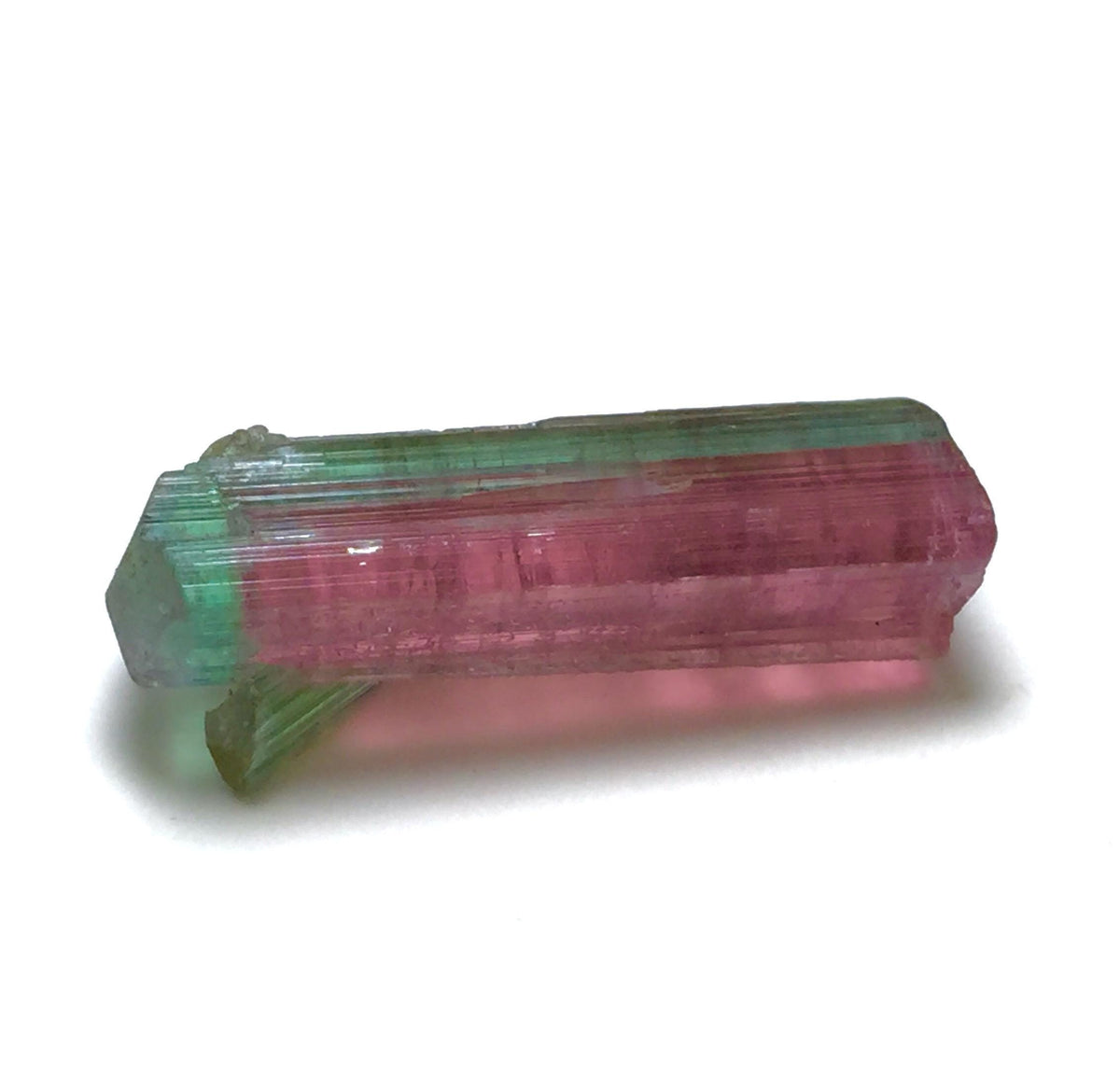 Watermelon Tourmaline on Albite Matrix – Peche Mine Afghanistan Specimen