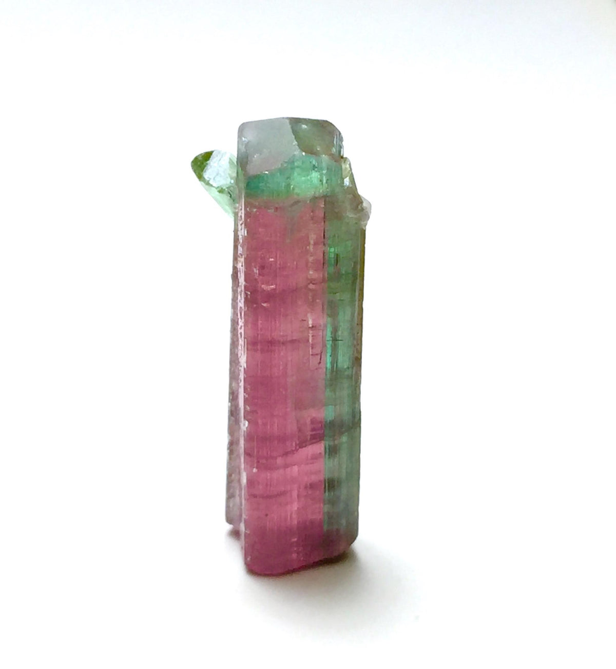 Watermelon Tourmaline on Albite Matrix – Peche Mine Afghanistan Specimen