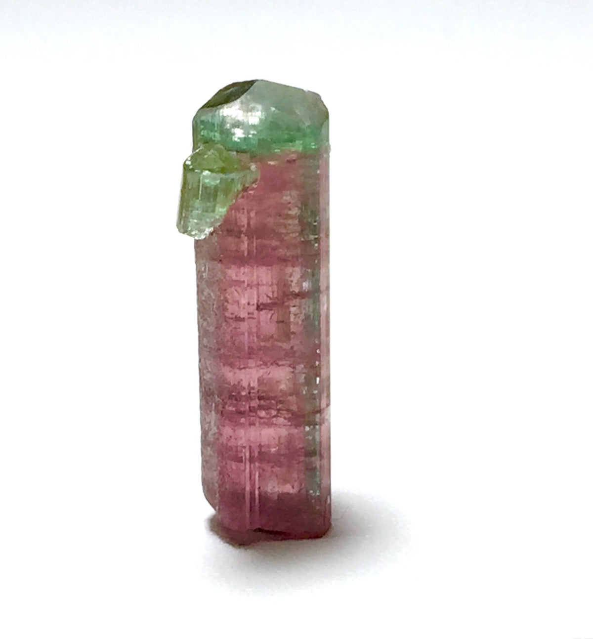 Watermelon Tourmaline on Albite Matrix – Peche Mine Afghanistan Specimen