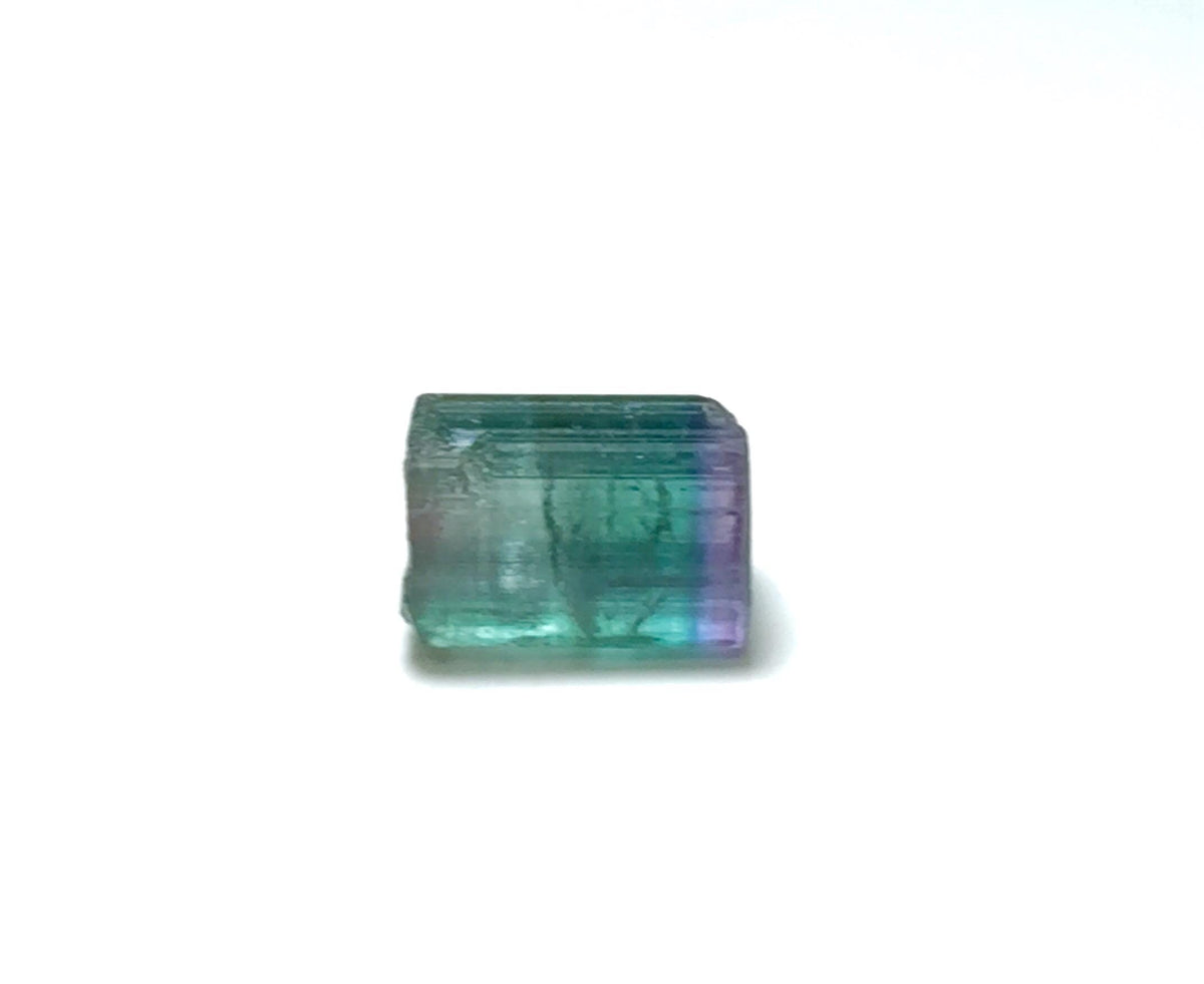 Natural Bi-Color Tourmaline Crystal - Paprok Mine, Afghanistan - Rare Gem Specimen