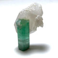 Rare Paraiba-Color Tourmaline on Quartz (25 Carat) – Peche Mine, Afghanistan