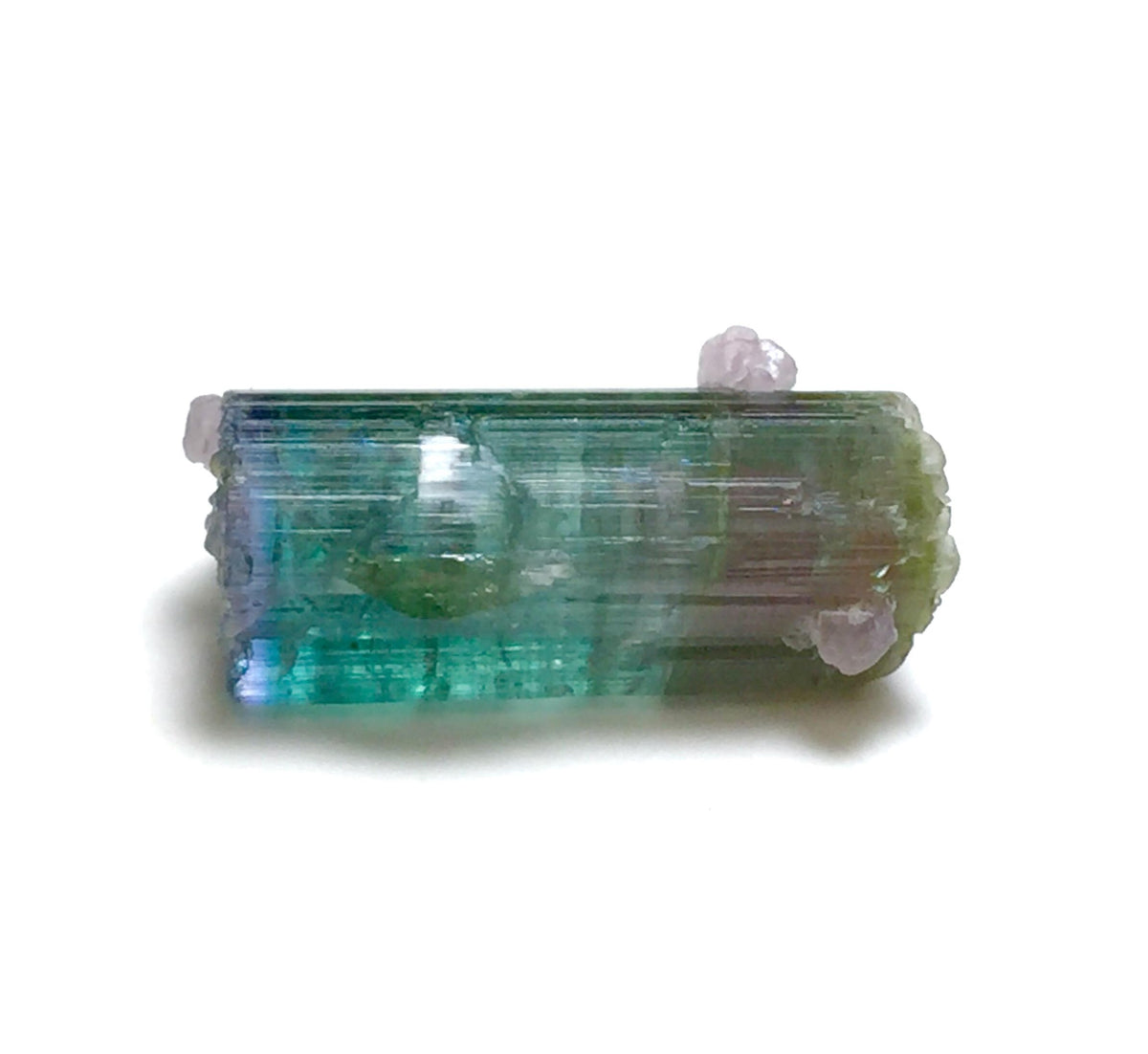 Rare 10.5 Carat Bi-Color Watermelon Tourmaline Crystal with Purple Cap & Albite - Peche Mine, Afghanistan