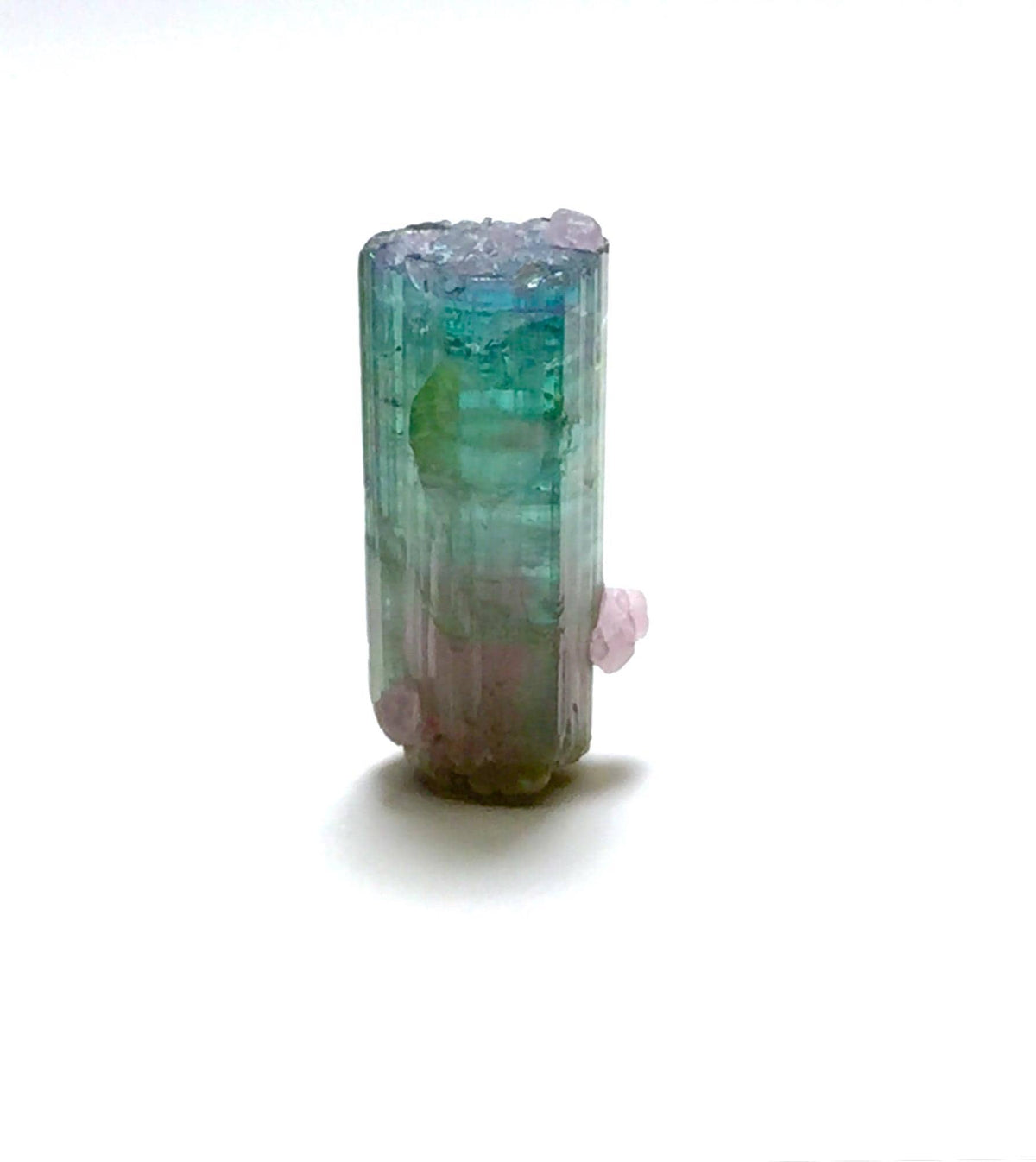 Rare 10.5 Carat Bi-Color Watermelon Tourmaline Crystal with Purple Cap & Albite - Peche Mine, Afghanistan