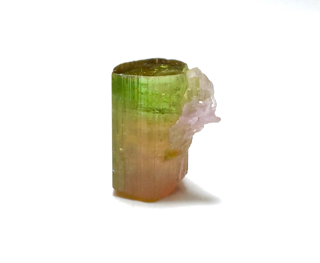 11.3ct Watermelon Tourmaline on Albite Specimen | Paprok Mine Afghanistan | Rare Bi-Color Display Crystal