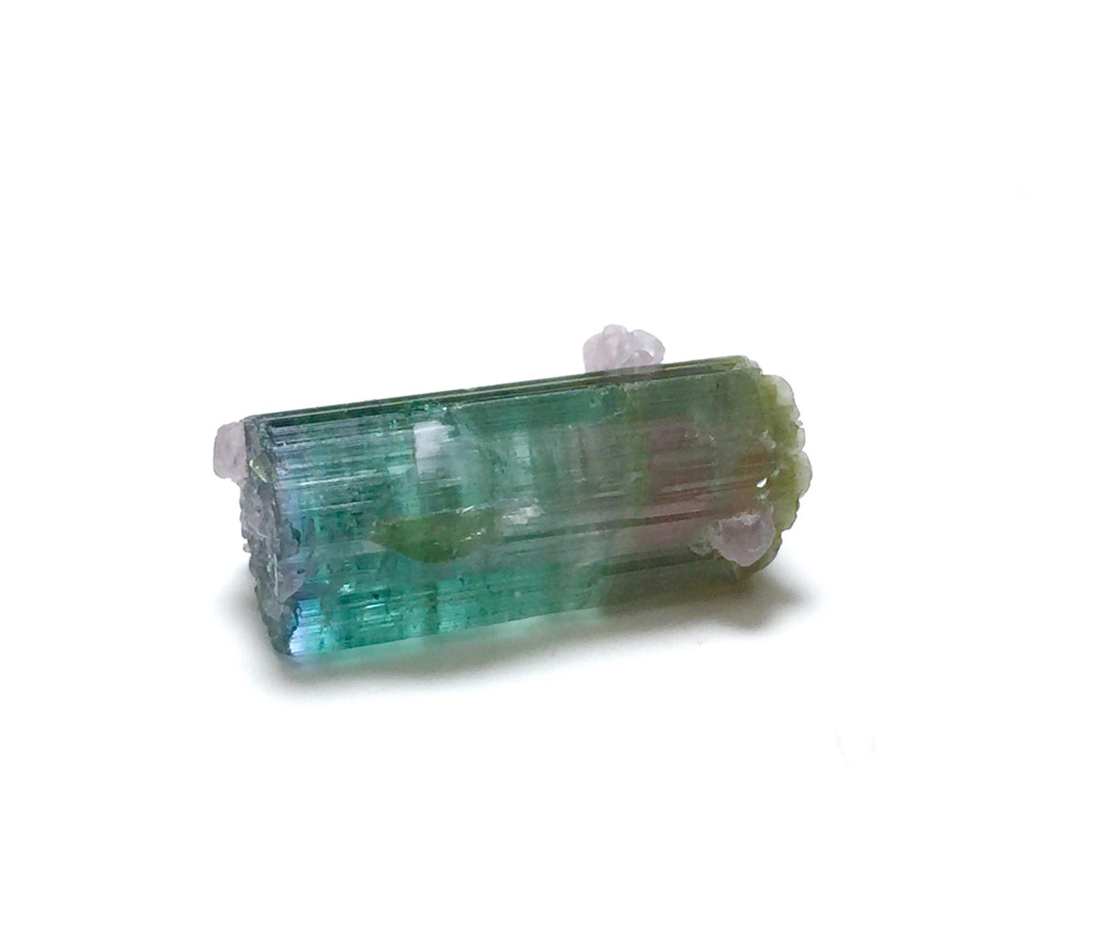Rare 10.5 Carat Bi-Color Watermelon Tourmaline Crystal with Purple Cap & Albite - Peche Mine, Afghanistan
