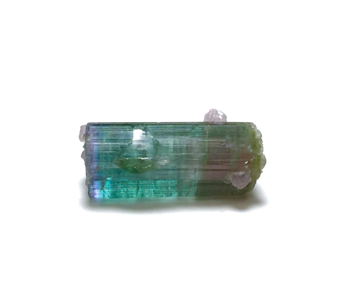 Rare 10.5 Carat Bi-Color Watermelon Tourmaline Crystal with Purple Cap & Albite - Peche Mine, Afghanistan