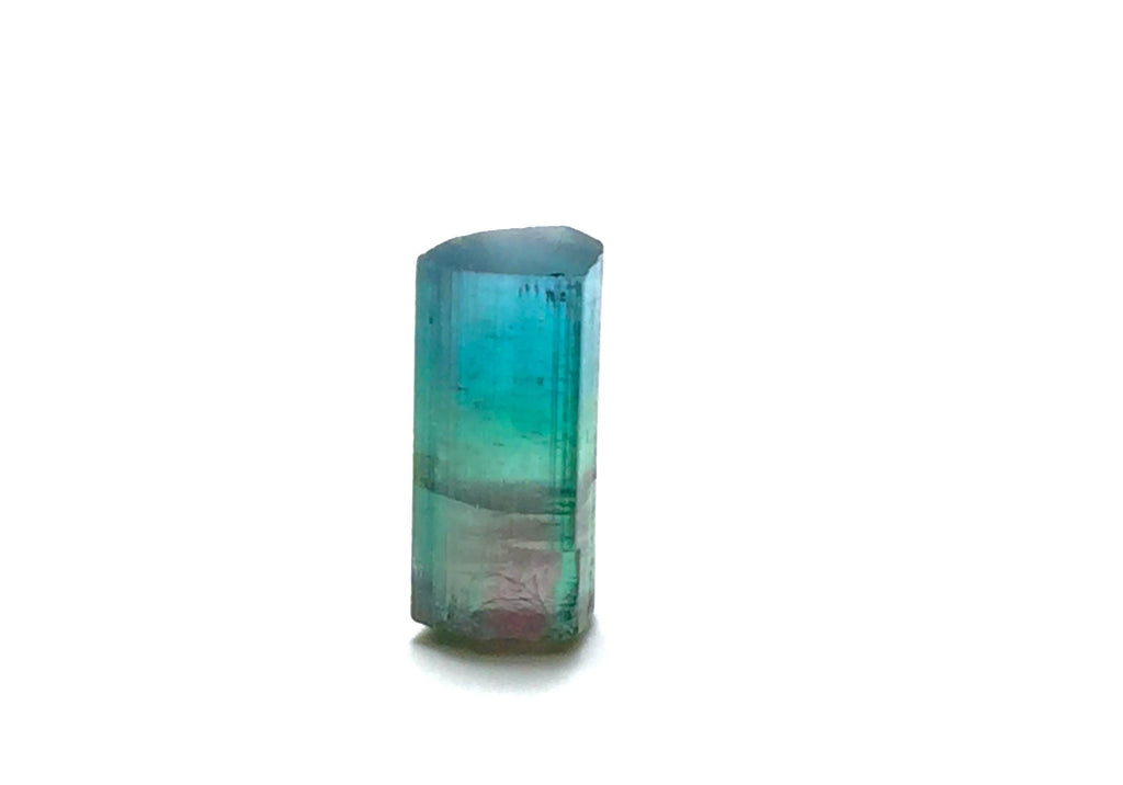 4.0 Carat Multi-Color Watermelon Tourmaline Crystal - Rare Small Pocket Specimen from Peche Mine, Afghanistan