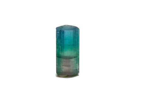 4.0 Carat Multi-Color Watermelon Tourmaline Crystal - Rare Small Pocket Specimen from Peche Mine, Afghanistan