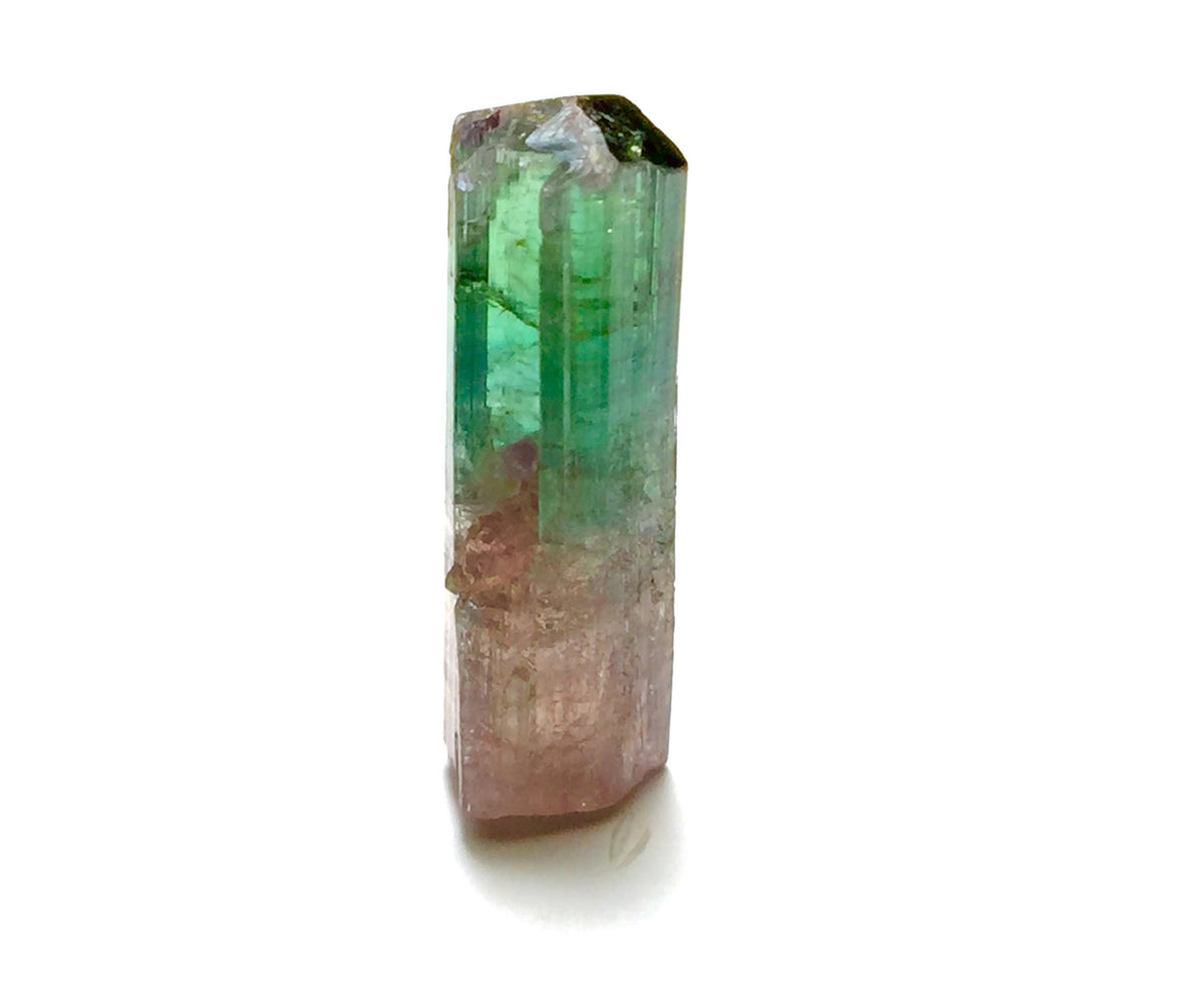 13.6 Carat Natural Bi-Color Tourmaline Crystal - Large Pendant Size Specimen from Paprok Mine, Afghanistan