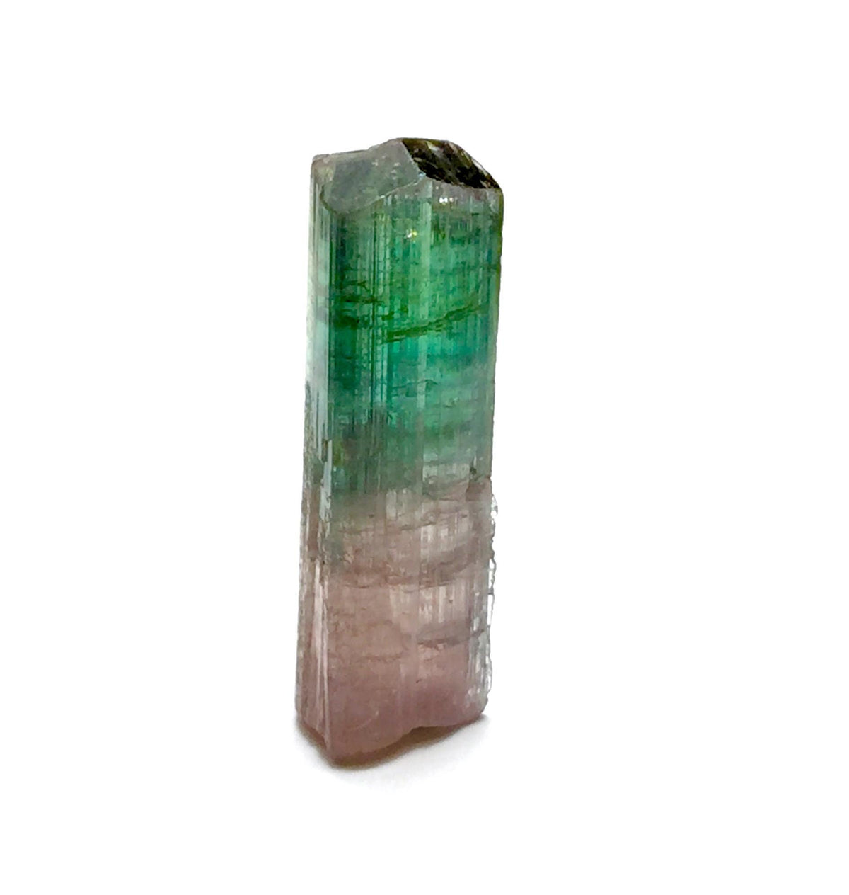 13.6 Carat Natural Bi-Color Tourmaline Crystal - Large Pendant Size Specimen from Paprok Mine, Afghanistan