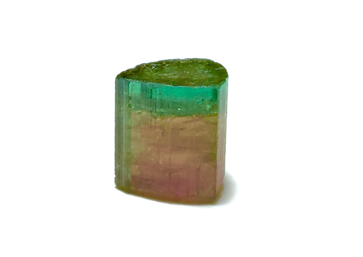 13.2 Carat Bi-Color Watermelon Tourmaline Crystal - Natural Specimen from Peche Mine